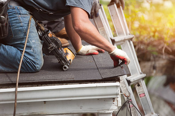 Best Roof Gutter Cleaning  in North Arlington, NJ